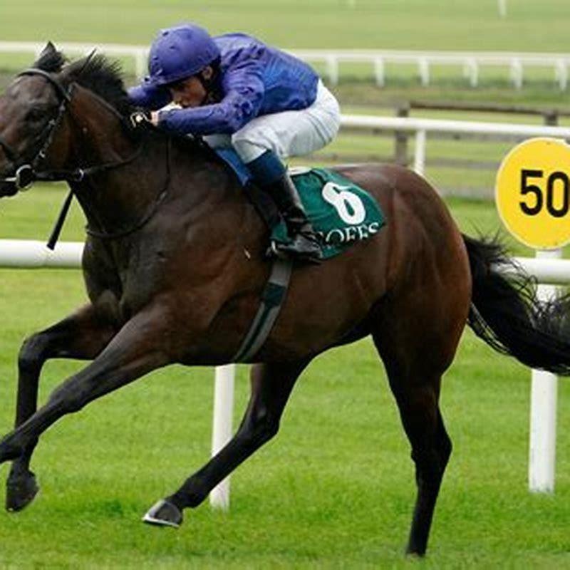 What to do if a horse starts running?