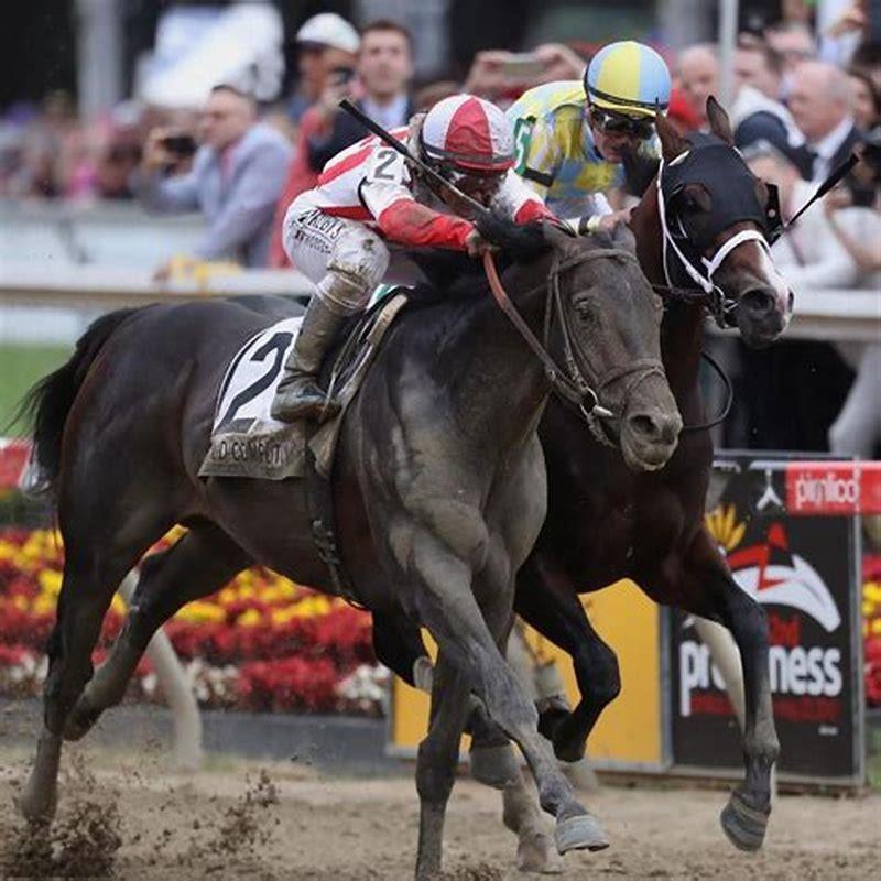What was the payout for the Preakness? DIY Seattle