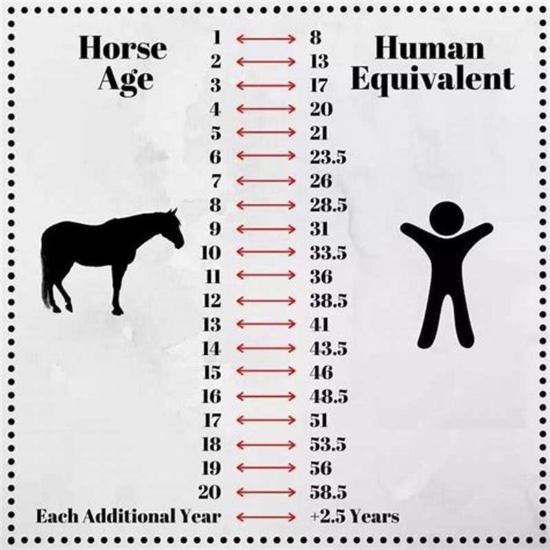 Whats it mean if a horse is grade?