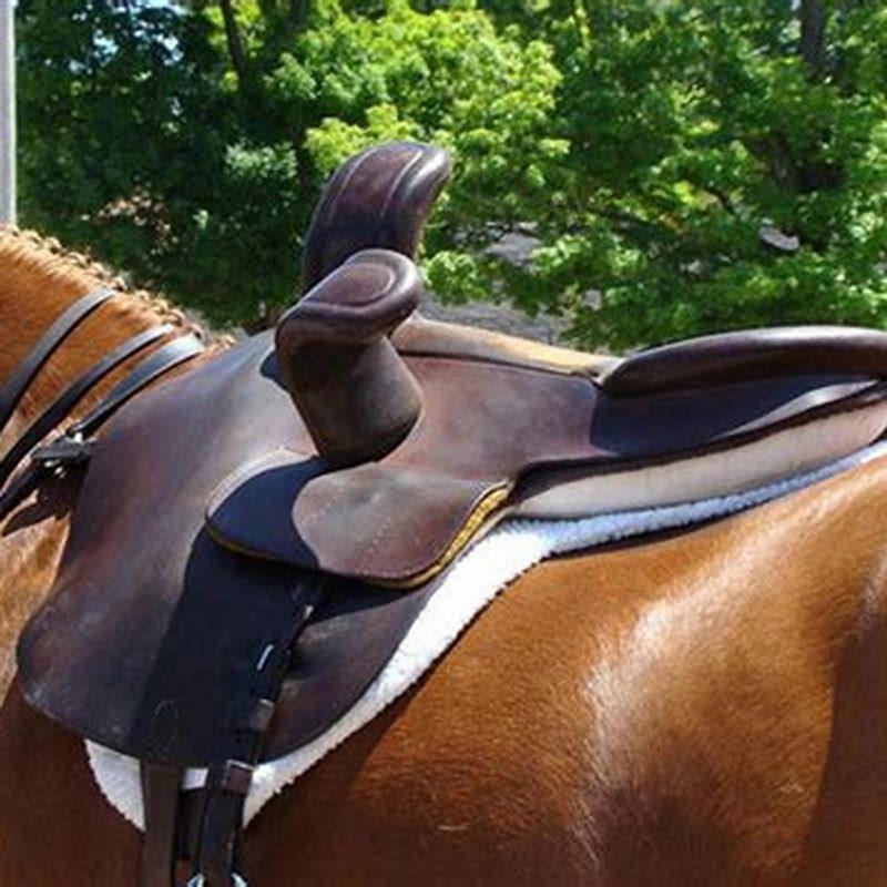 When was the first pommel horse invented?