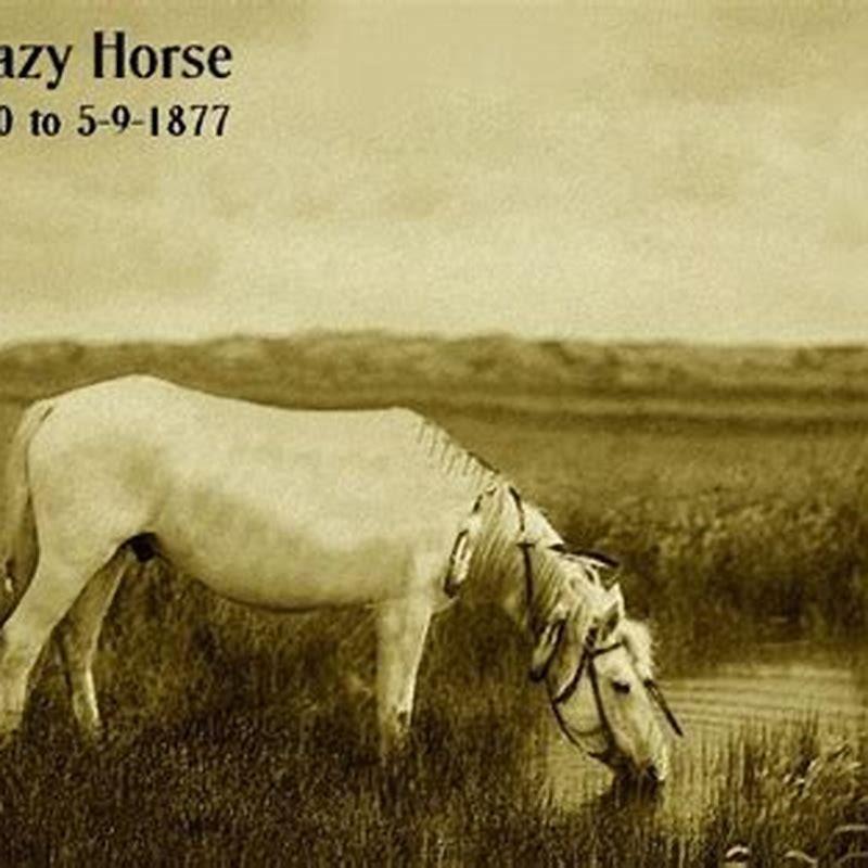 Where was Crazy Horse stabbed?