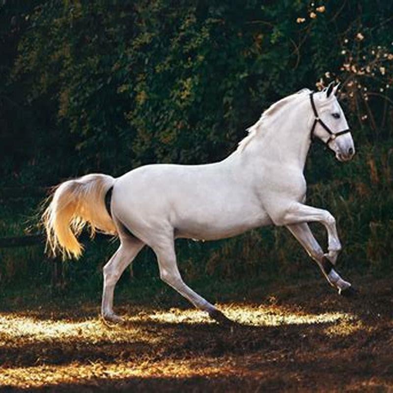 Who wrote a horse a horse my kingdom for a horse?
