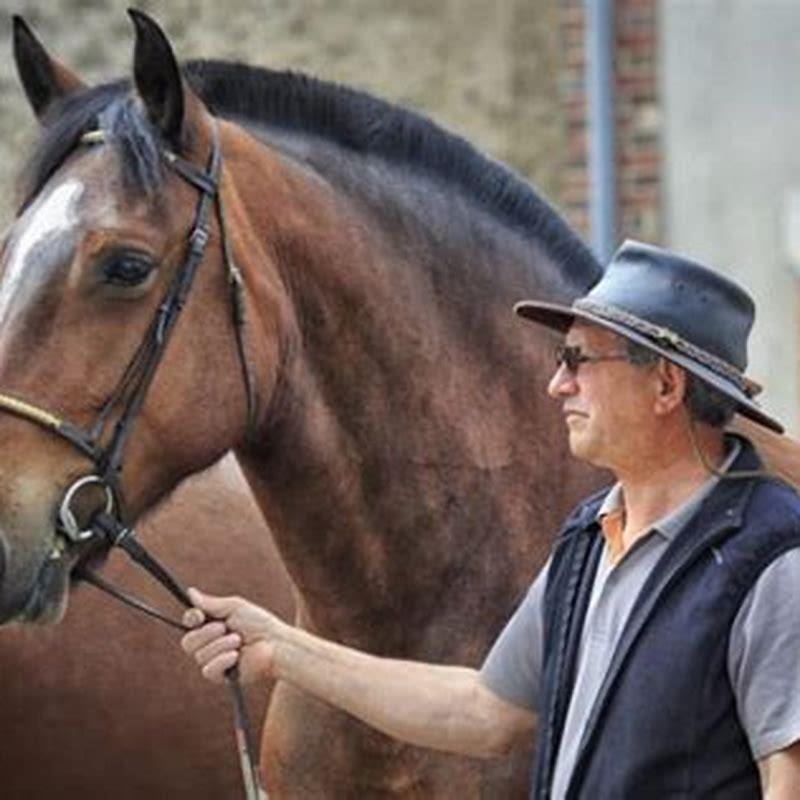 Why are horses heads long?