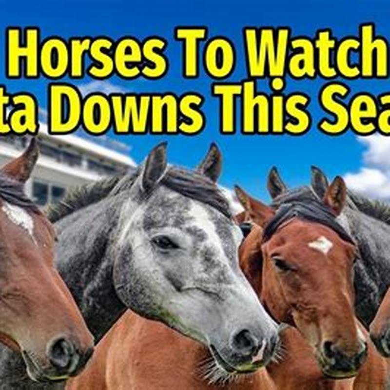 Why did Delta Downs cancel?