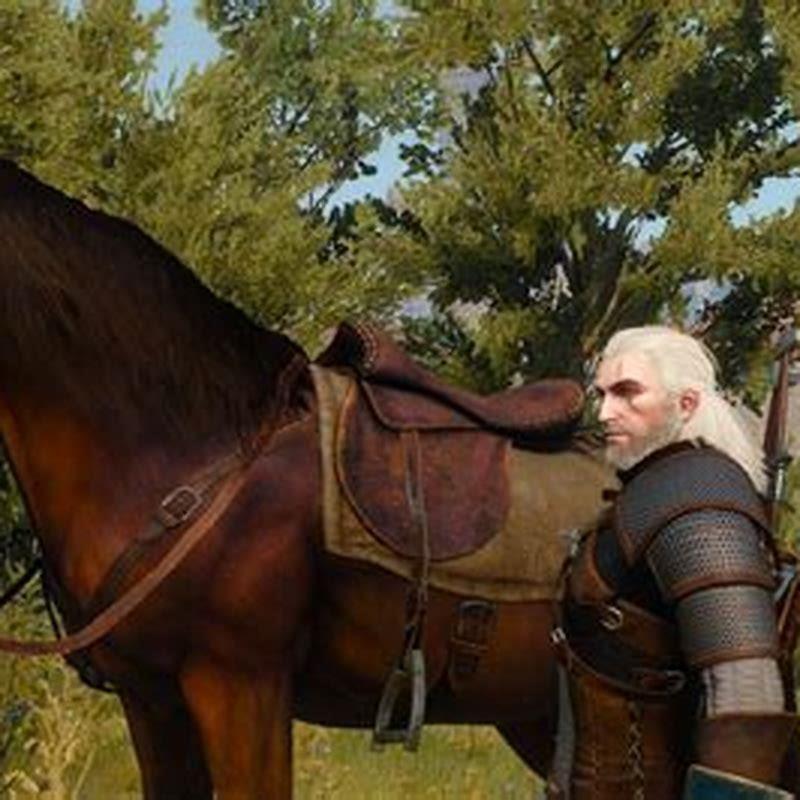 Why does Geralt talk to Roach?