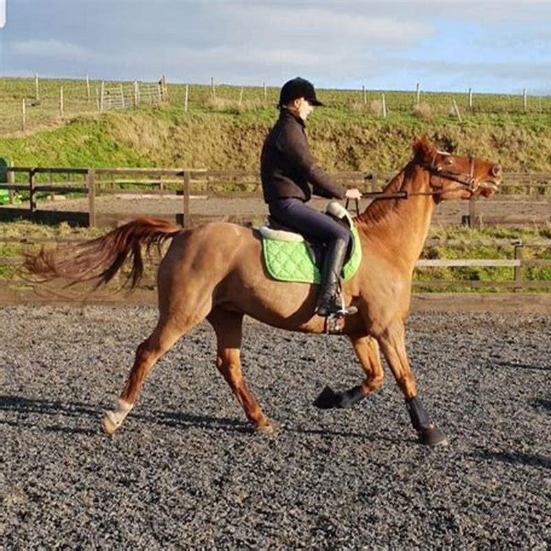 Why is my horse suddenly rearing?