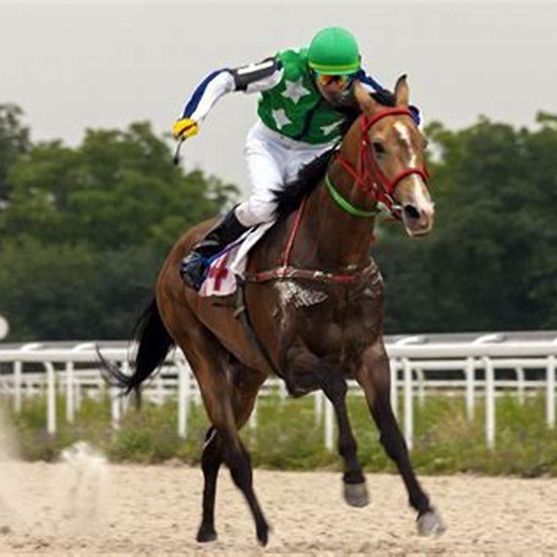 Are jockeys allowed to gamble?