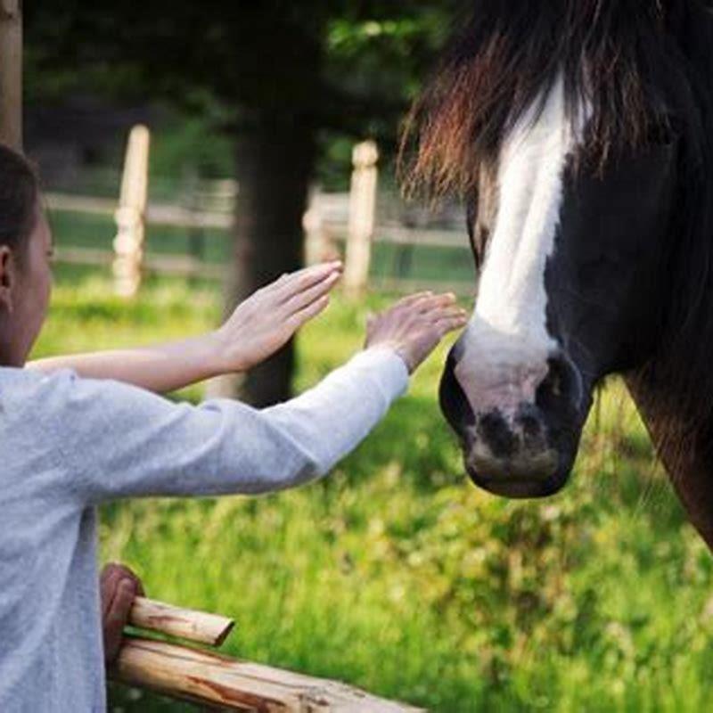 At what age does a horse fully mature?