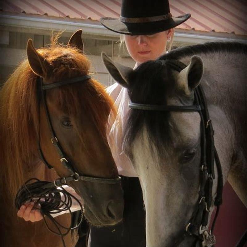 Can a Paso Fino horse walk normally?