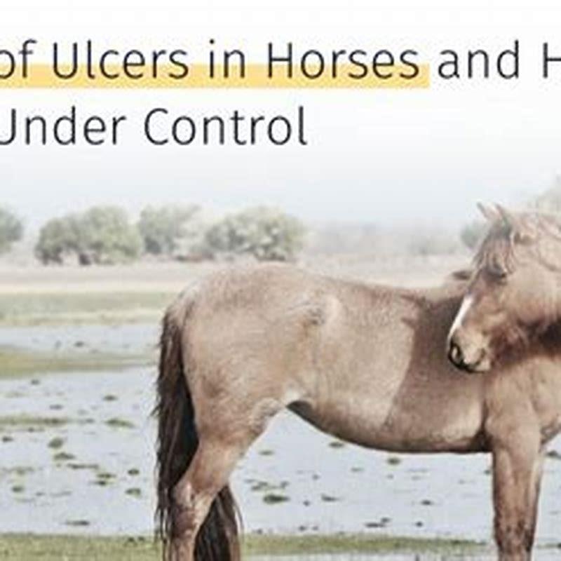 Can horse stomach ulcers heal on their own?