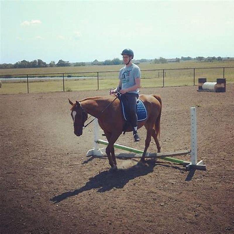 Can I ride my horse in a halter?