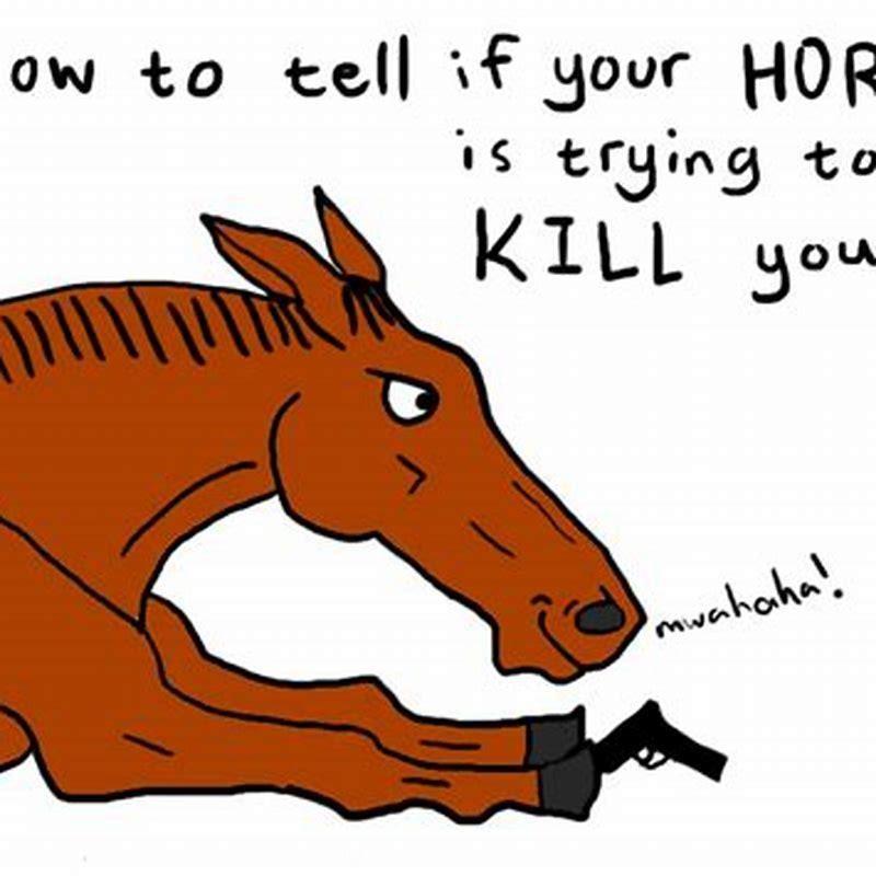 can-you-kill-your-own-horse-diy-seattle