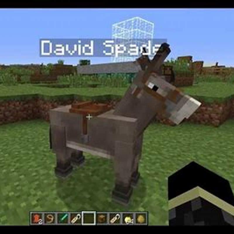 can-you-put-a-chest-on-a-horse-minecraft-diy-seattle