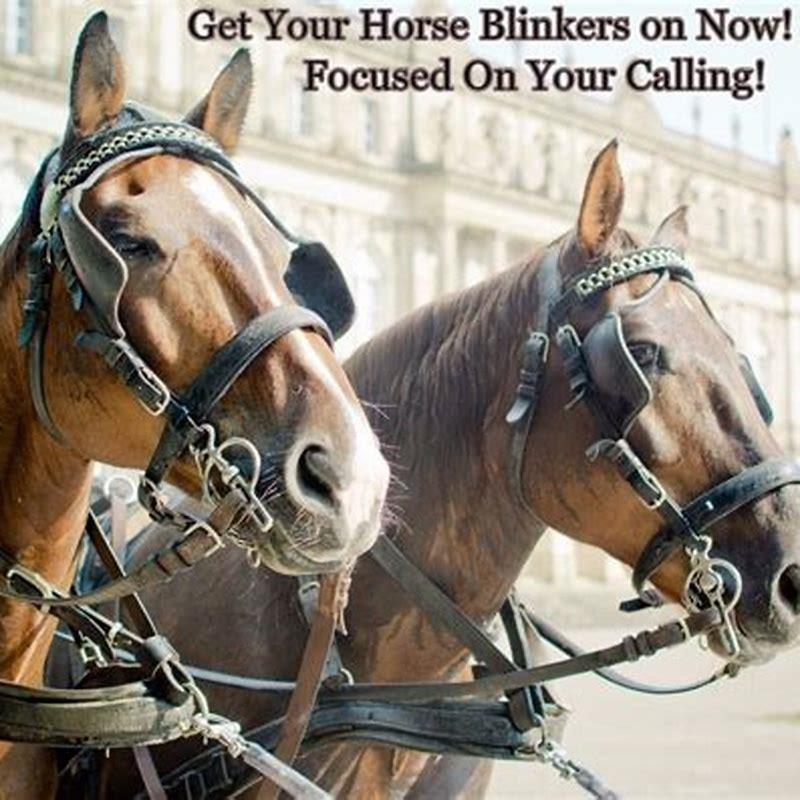Can you ride a horse in blinkers?