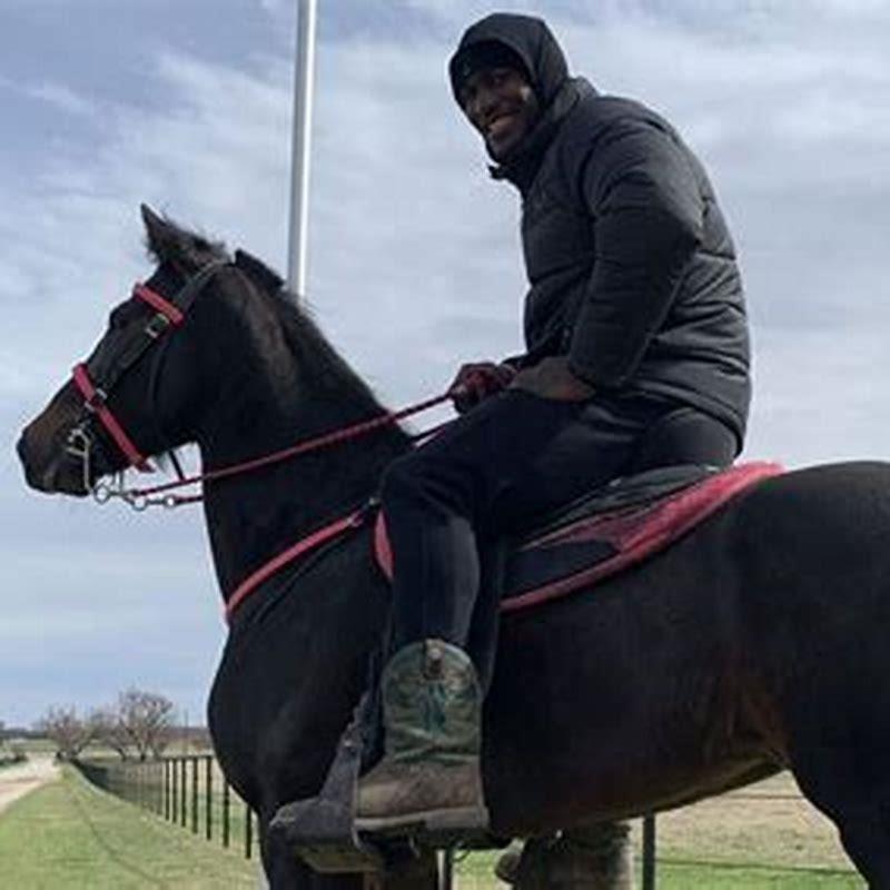 Can you ride a Tennessee Walking Horse?
