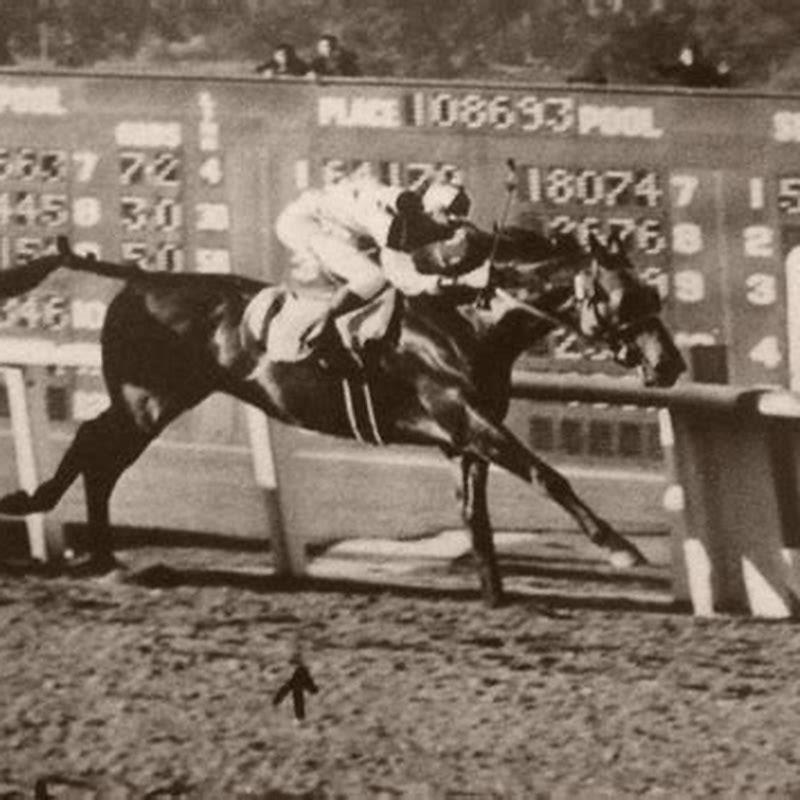 Did Seabiscuit race at Saratoga?