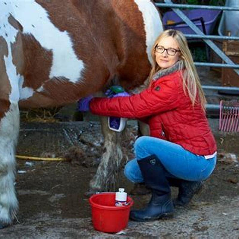 Do you have to clean a male horses sheath? - DIY Seattle