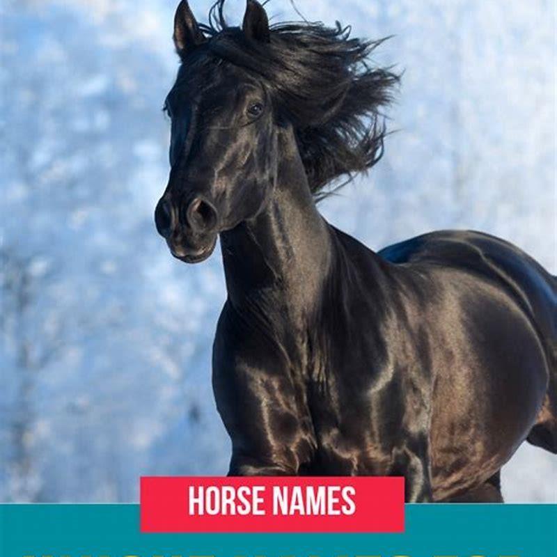 How are horse names chosen?