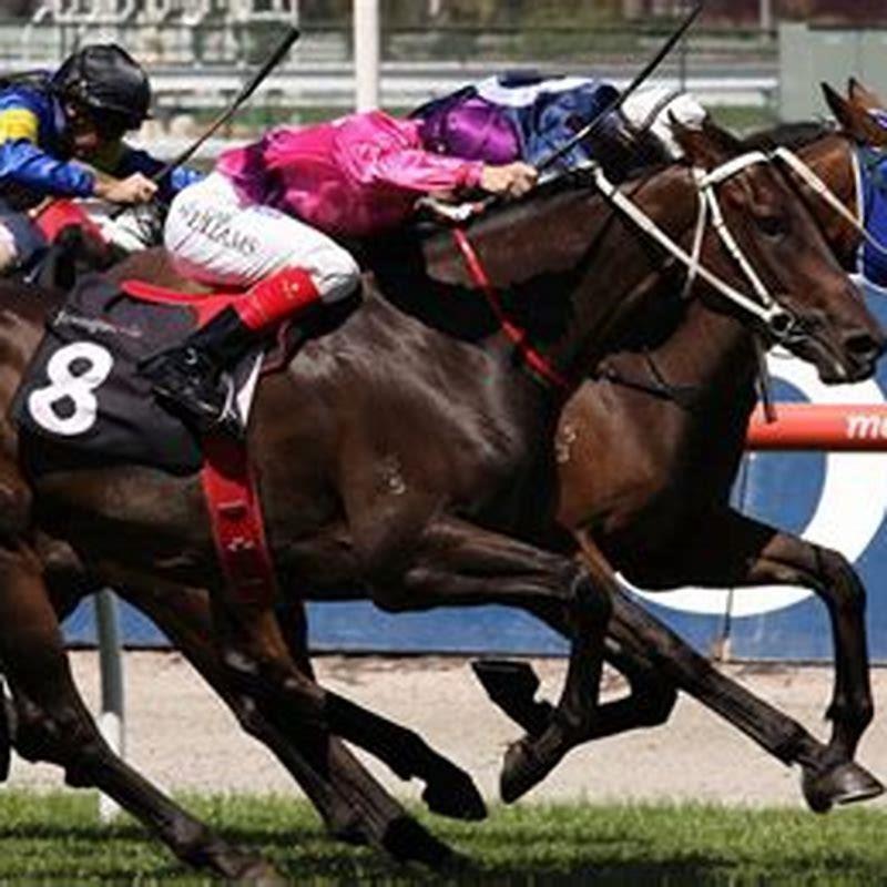 How Are Lengths Calculated In Horse Racing DIY Seattle