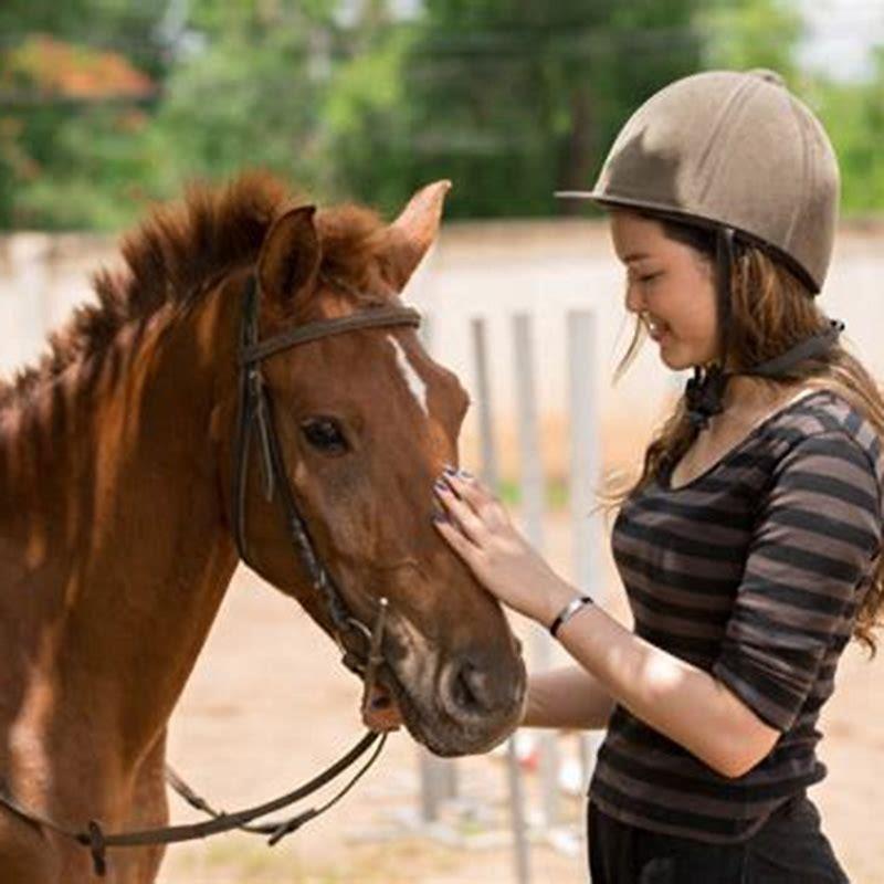 how-can-you-tell-if-a-horse-is-handicapped-diy-seattle