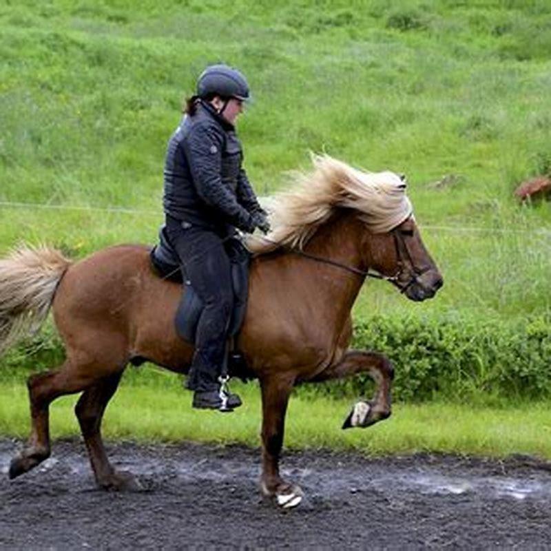 How do I get my horse to gait?