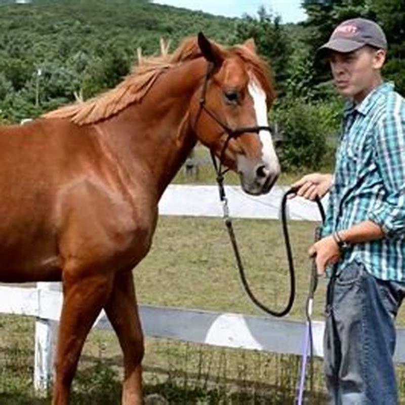 How do I get my horse to side pass?