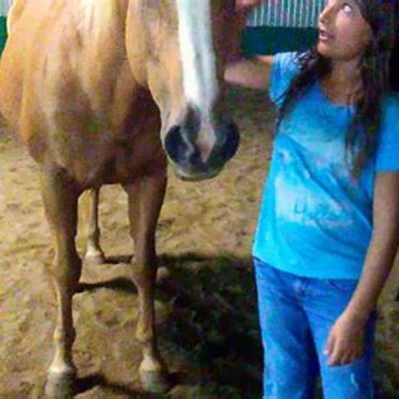 How do I get rid of my lame horse?