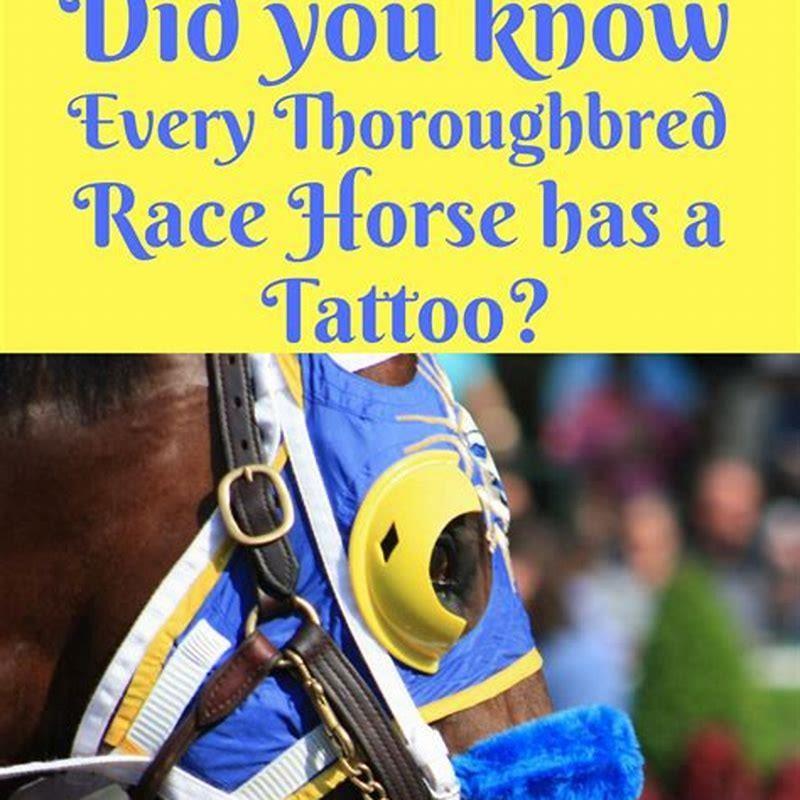 How do I know what horse to bet on?