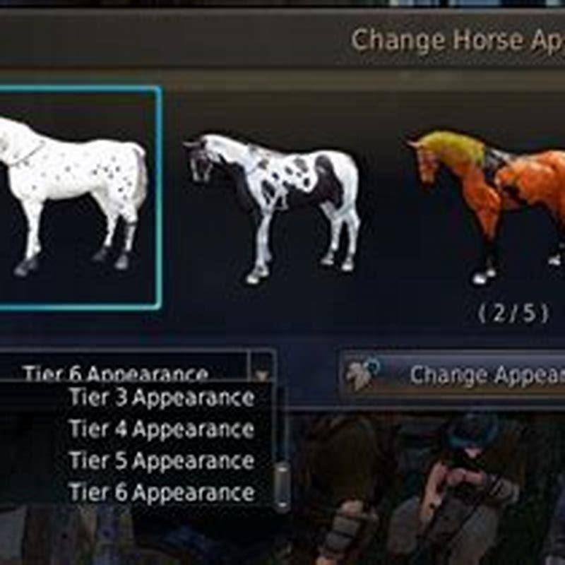 How do I summon my horse in BDO?