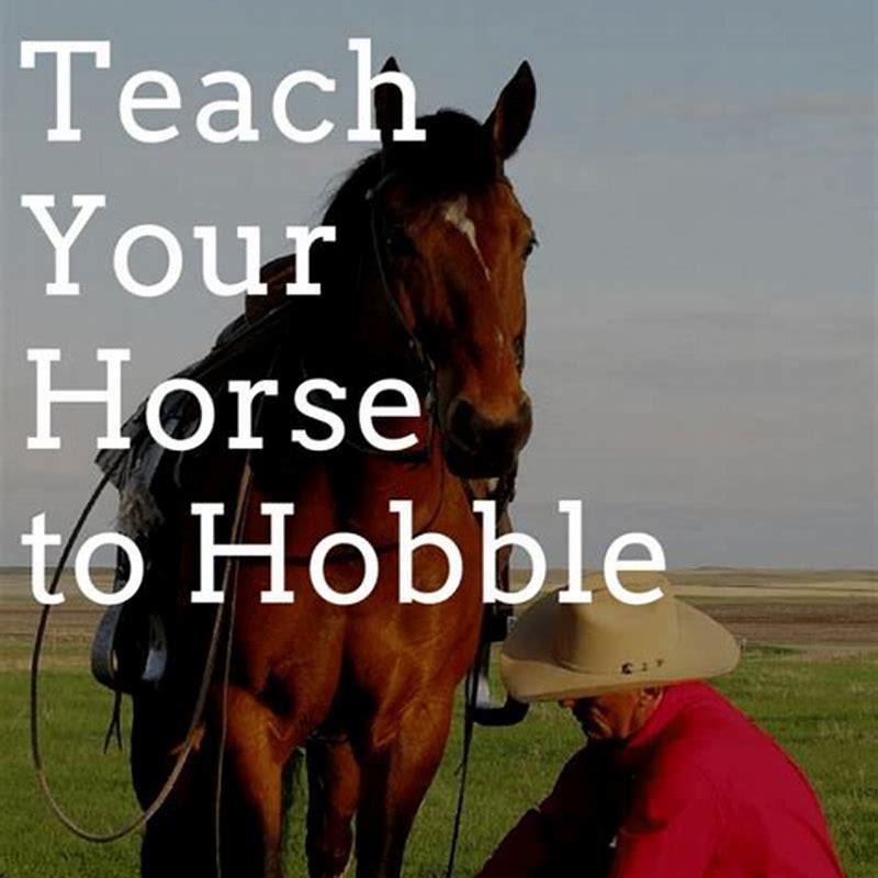 How do I teach my horse to accept hobbles?