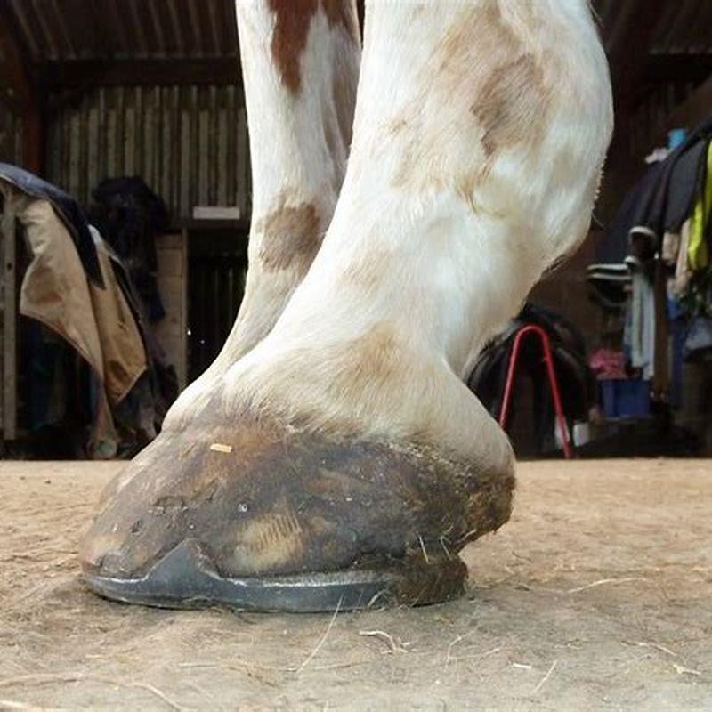 How do I trim my flat footed horse?