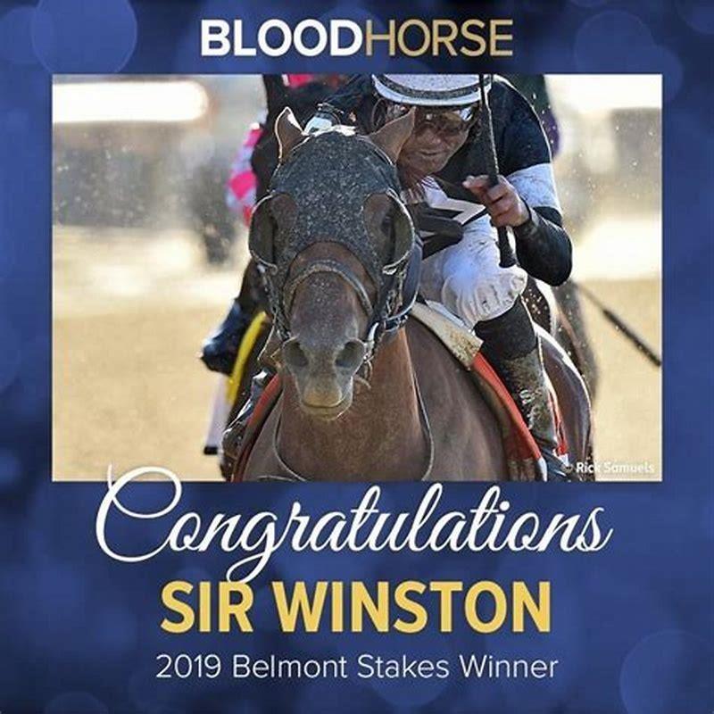 How do you always win on horse racing?