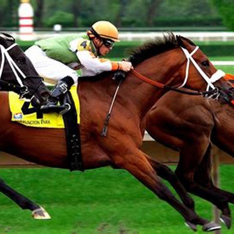 How do you bet on horses?