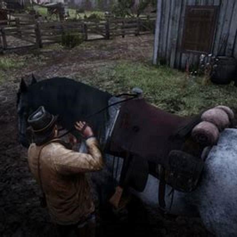 How do you brush your horse in Red Dead Redemption?