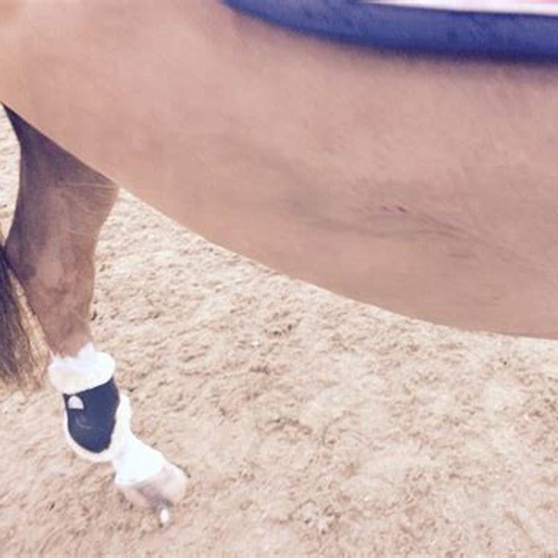 How do you clip a horse without leaving lines?