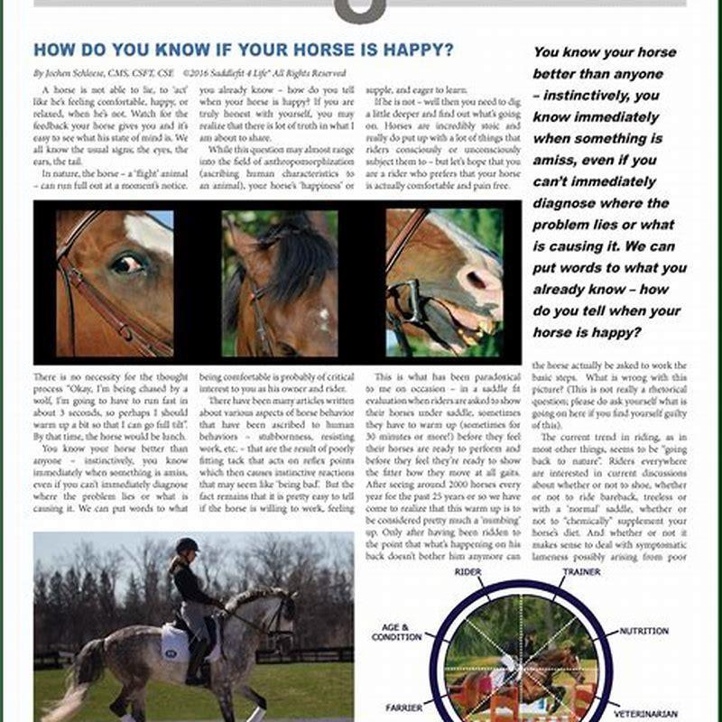 How do you describe a happy horse?