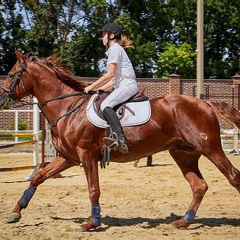 How do you get a connection with a horse?