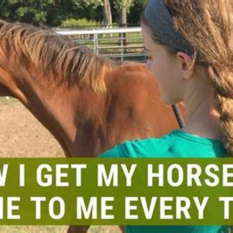 How do you get a horse to come to you?