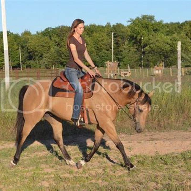 How do you get a reluctant horse to move forward?