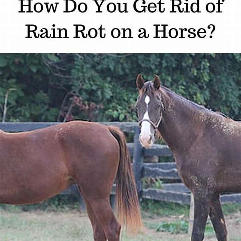How do you get on a horse from the ground?