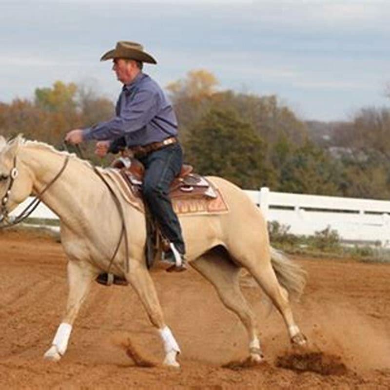 How do you hold reins when neck reining?