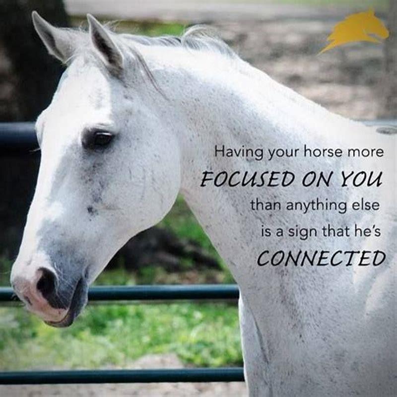 How do you know if you are connected to a horse?