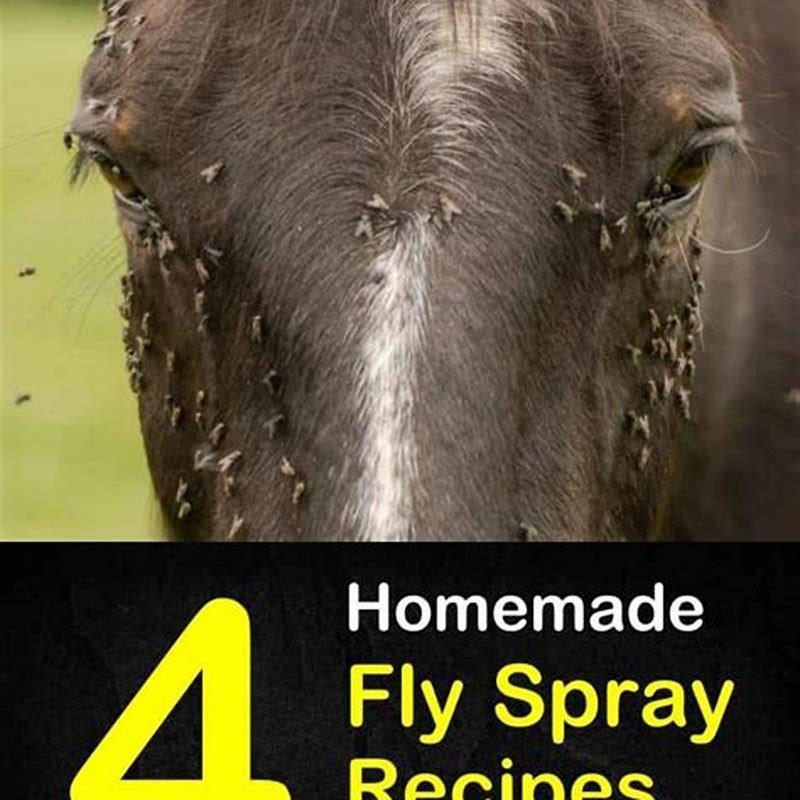 How do you make homemade fly spray? DIY Seattle