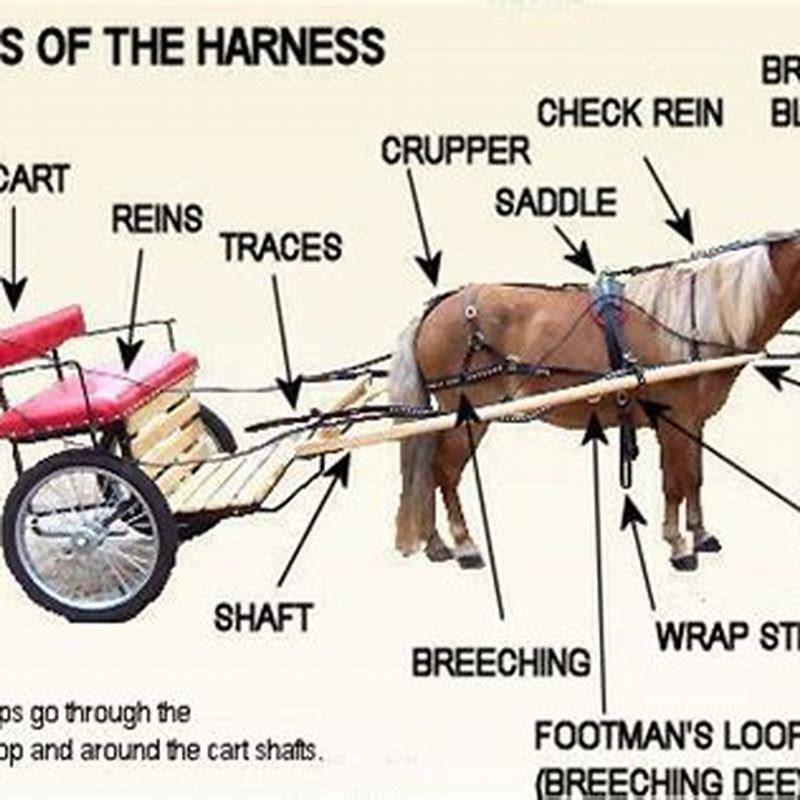 how-do-you-measure-the-shaft-on-a-horse-cart-diy-seattle