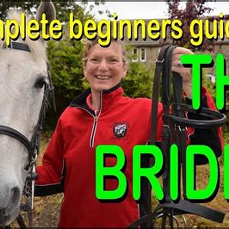 how-do-you-put-a-bridle-on-a-horse-for-beginners-diy-seattle