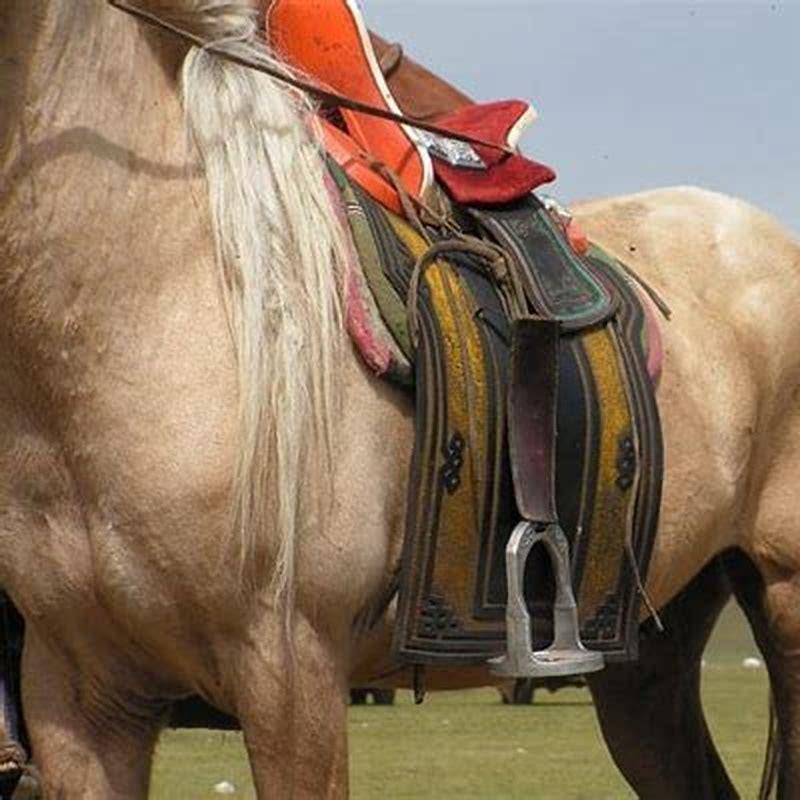 How do you put a saddle on a horse?