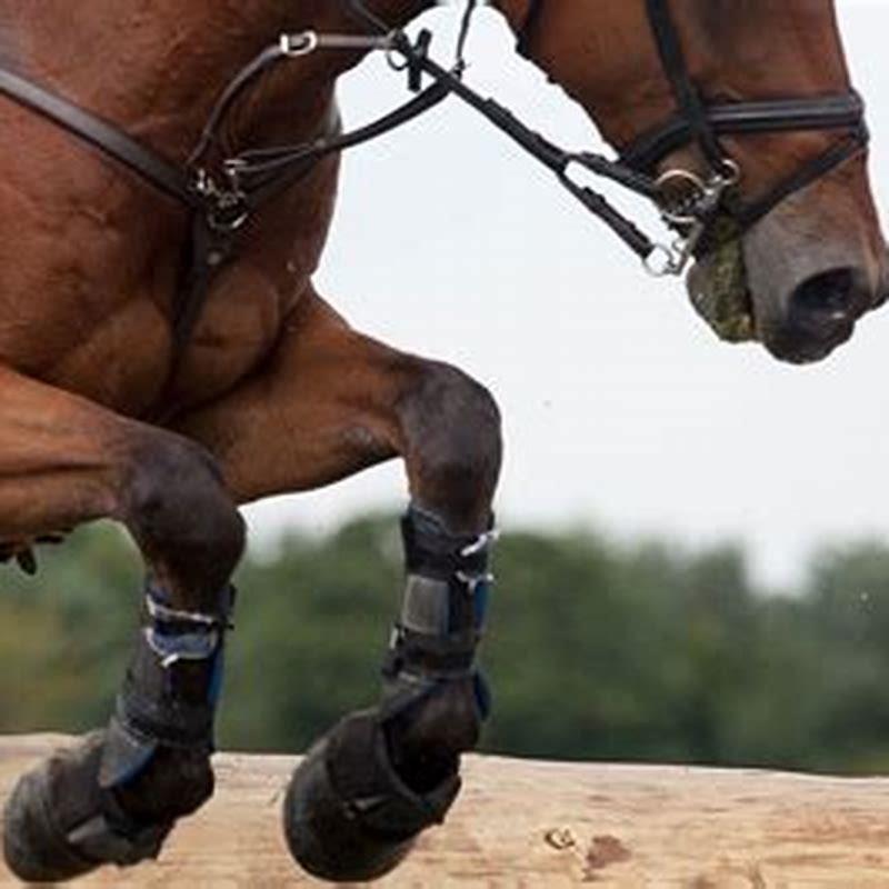 How do you put bell boots on horses?