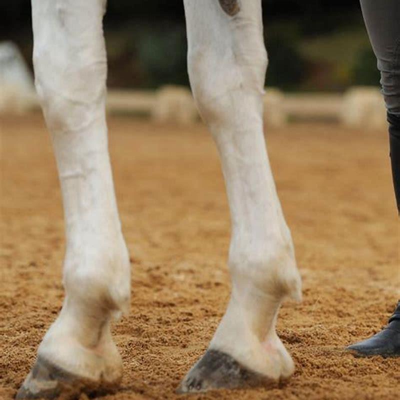 How do you remove chestnuts from a horse?