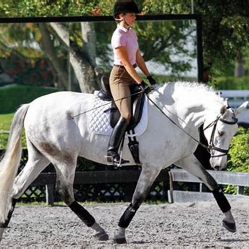 How do you start a trot?