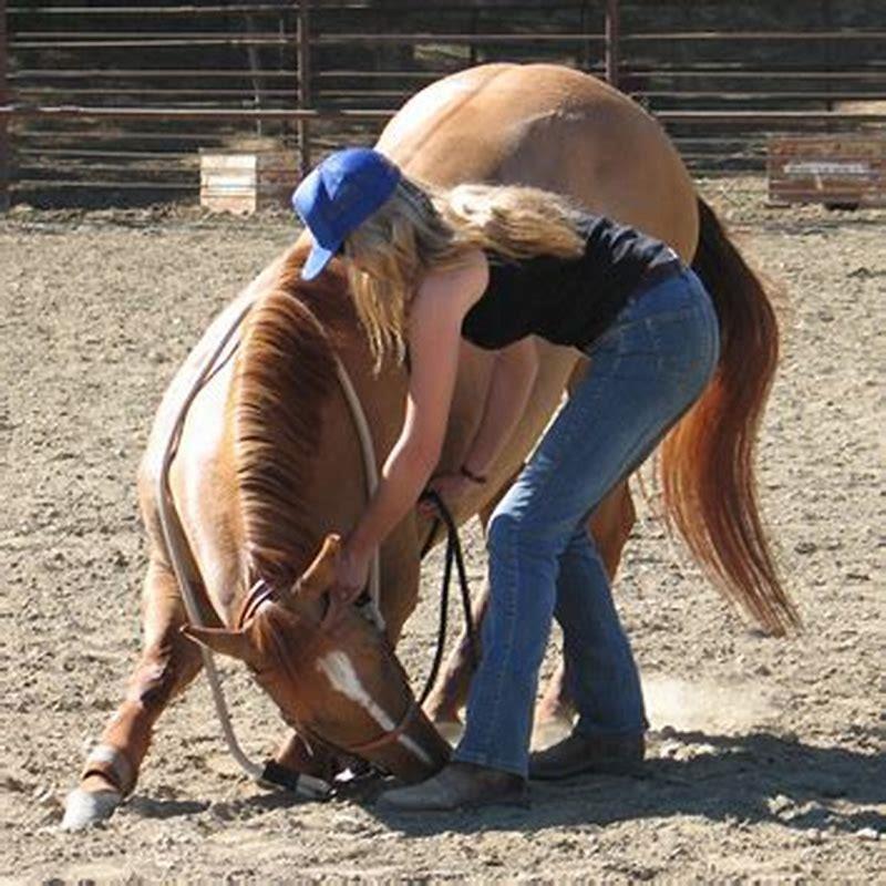 How do you teach a horse not to pull back when tied?